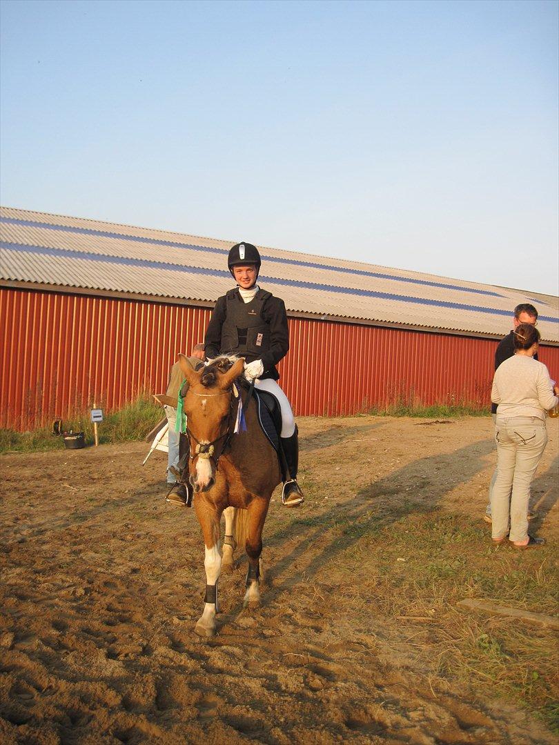 Anden særlig race Charming - Min dygtige spring pony vandt en 2. og 3. plads mod hestene ;)<3 han er bare for sej!! :D billede 17