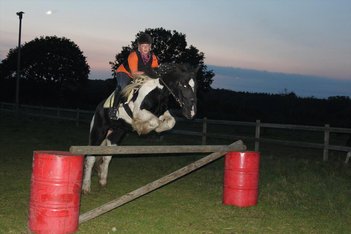 Irish Cob » KOUSGAARDENS SIR MICKEY - "When you wish upon a star" Min drøm var at springe højt med Mickey - og her er vi, flyvende over 1 meter! :D Foto: Maria Ebsen. :D billede 10
