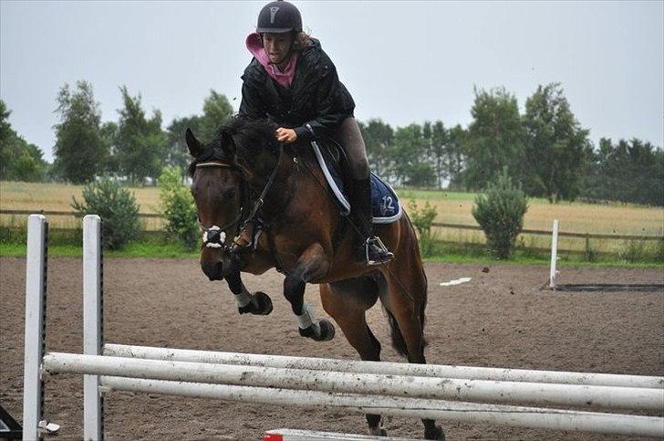 Anden særlig race Farmens Asterix - springcamp 2011 <3 billede 12