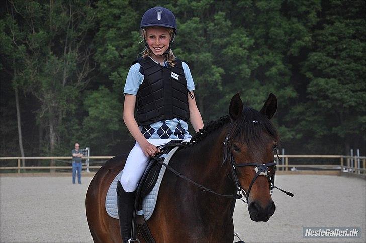 Anden særlig race Farmens Asterix - verdens bedste pony!!!! :'D billede 18