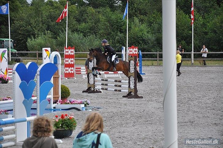 Anden særlig race Farmens Asterix - stævne på capa! :D billede 19