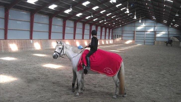 Connemara Delight Aurora - Roden og Nicoline, september 2011 billede 19