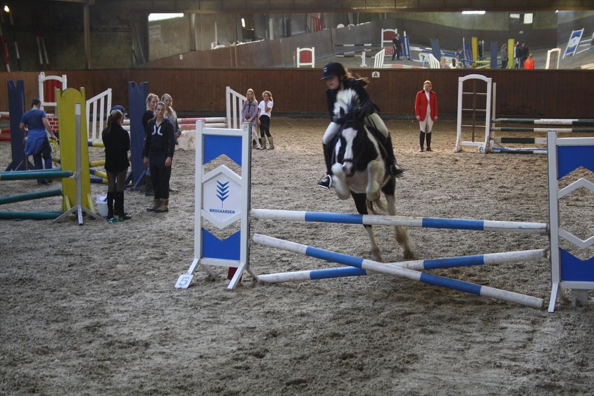 Irish Cob Mars <3 | Mit liv. <3 |  - Klubmesterskabet 2011 <3 billede 14