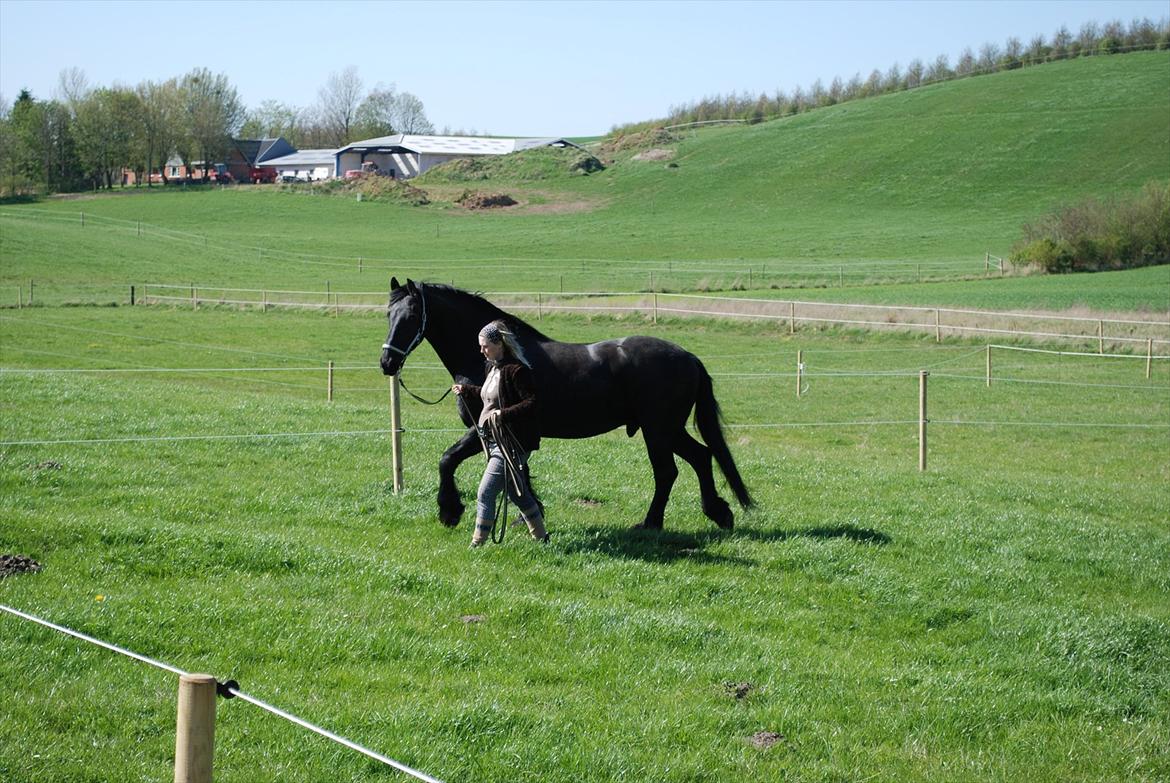 Frieser Bertus billede 2