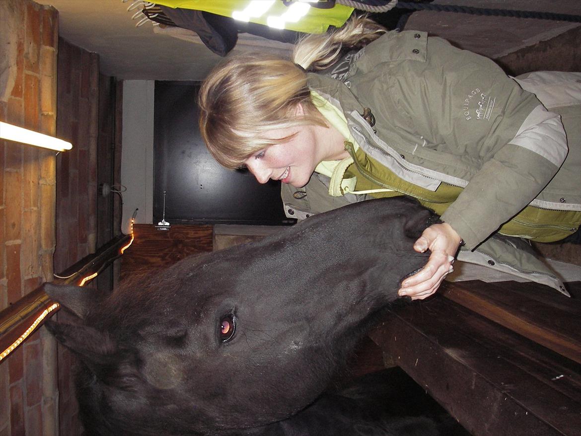 Frieser Bertus billede 6