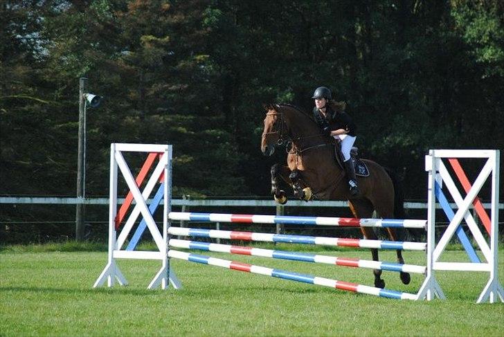 Holstener GREENHEART - STJERNEN! <3 billede 6