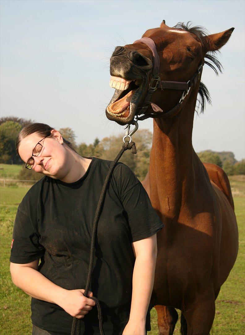 Anden særlig race Kaliffen (Givet Væk) *For Evigt Elsket <3* - Ha ha ha bedste billede nogensinde :D 
(September 2011) billede 8