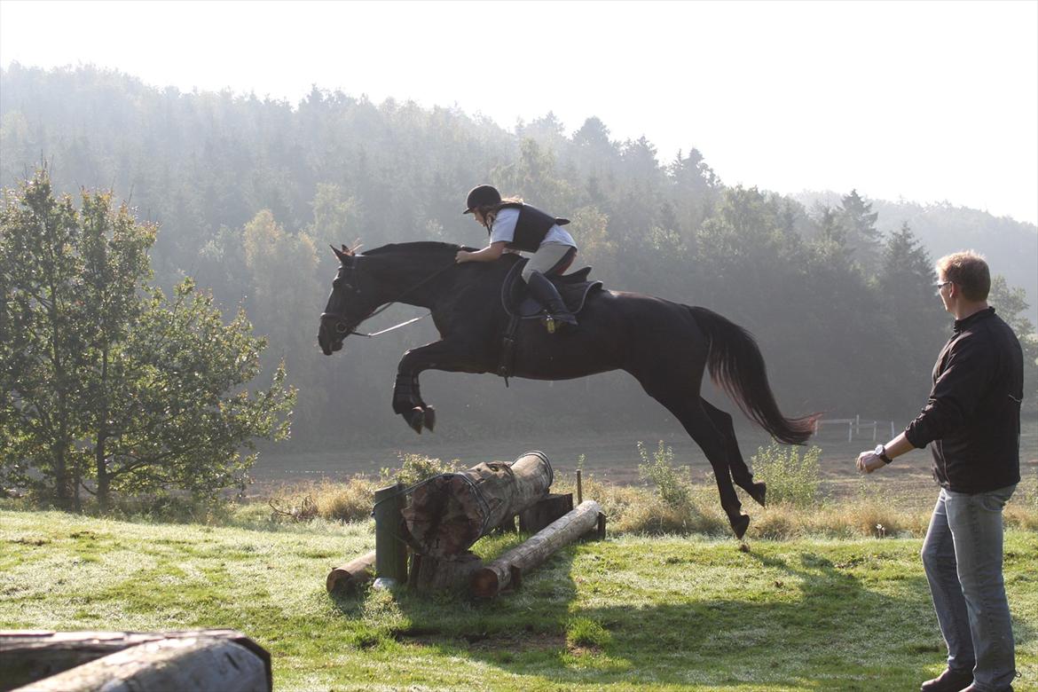 Oldenborg Selta Højbo - „If you focus on success, you'll have stress. But if you pursue excellence, success will be guaranteed.“

Terræntræning sommer 2011 billede 10