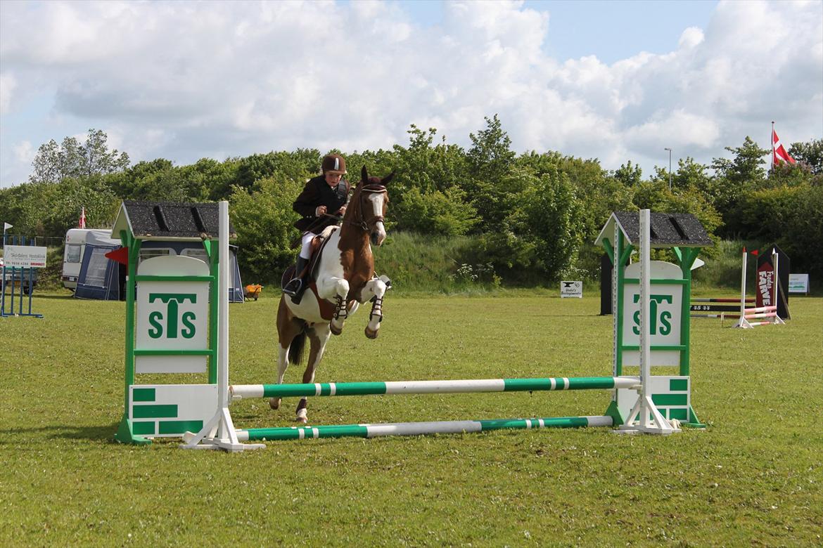 Anden særlig race Prins Engholm~  Solgt...-( - LE spring i REB..Men det er da en pony er springer en SMULE over, og med en rytter der hænger lidt bagefter..:)
- 2011 billede 3