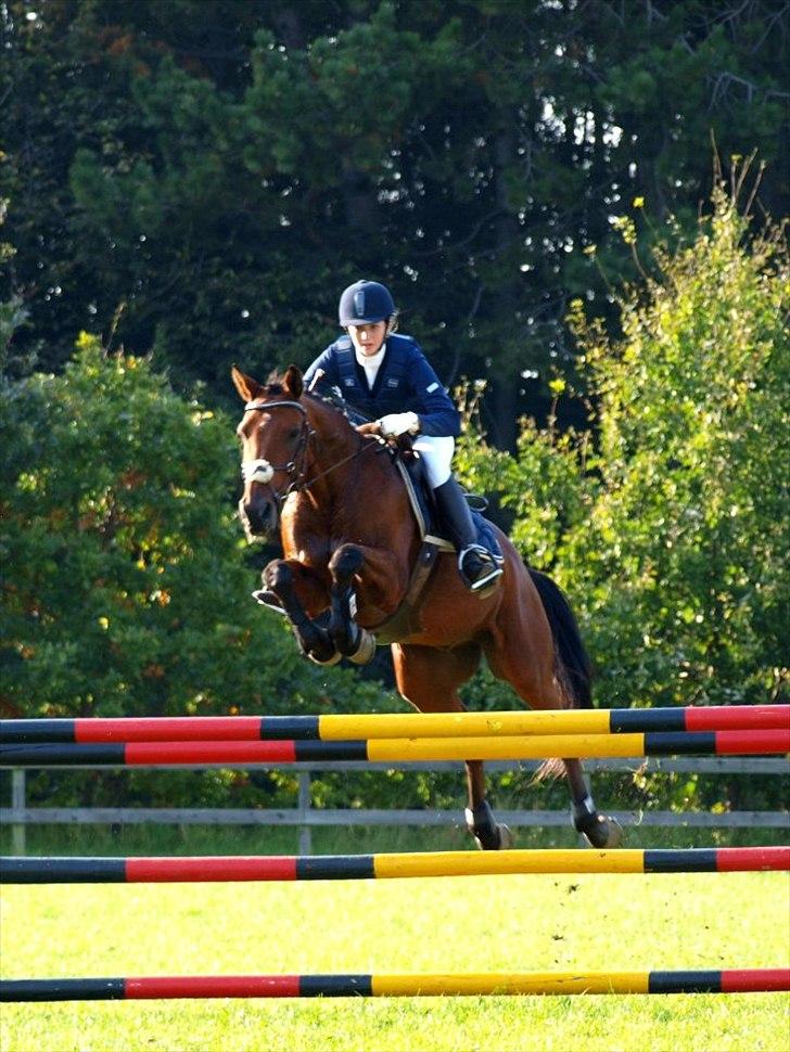 Anden særlig race Aktiv Junior (Lånehest) - LA** til klubmesterskab 2011. Taget af Annika Løvmose Holm. billede 14