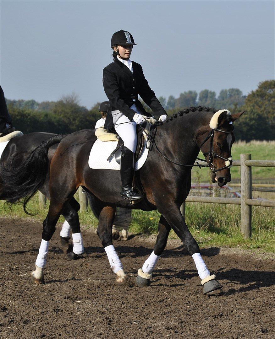 Oldenborg Rosenhavens Sindi - stævne den 25. september 2011 :) det var vores første stævne vi red LD1 og fik 1. plads! :D  billede 8