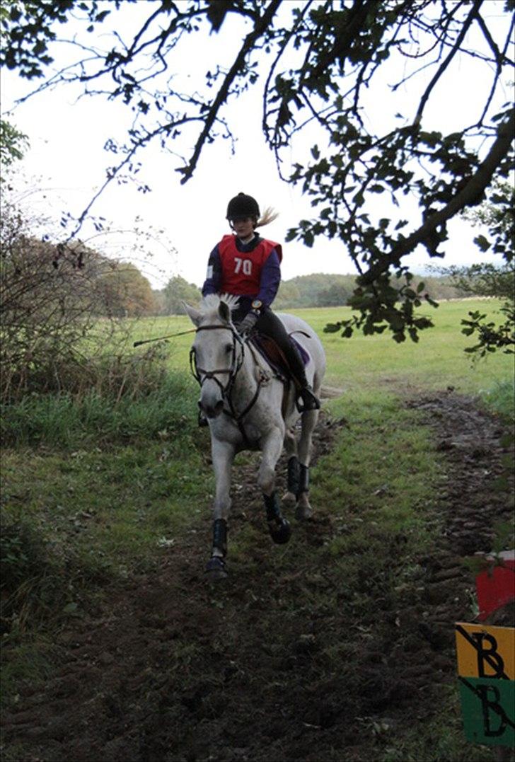 Holstener Quintina  - På vej ned i det sorte hul, på bornolm <3  billede 4