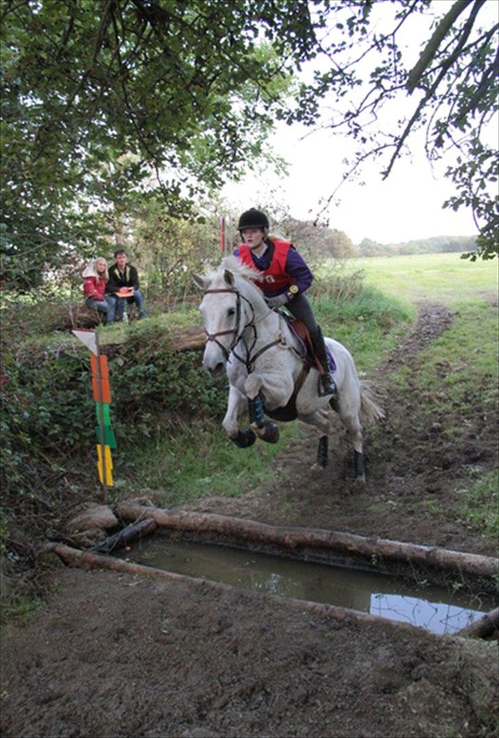 Holstener Quintina  - Det sorte hul, og så op ad pakke, til kævle på toppen (kombination) <3  billede 6