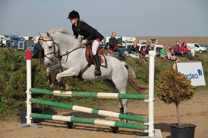 Holstener Quintina  - Bornholm ridebanespringning <3  billede 7