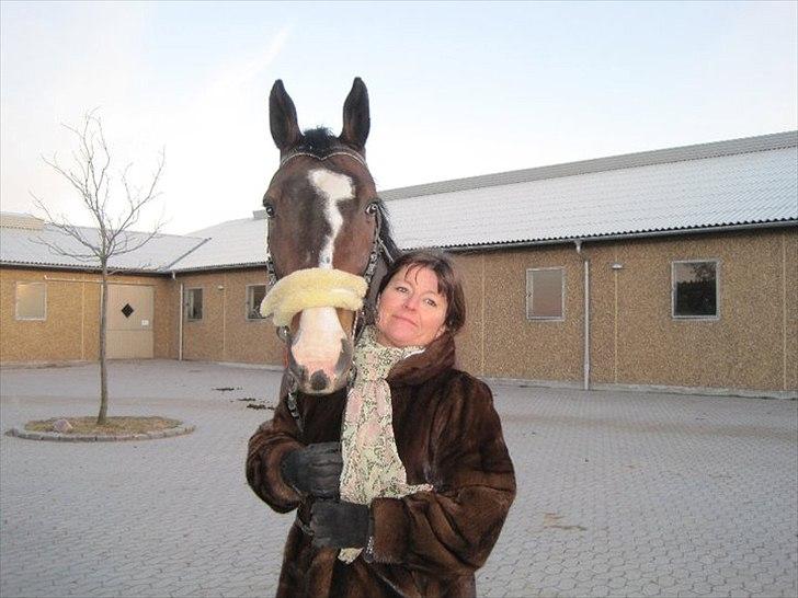 Dansk Varmblod Rasmine R.I.P :'( - min mor og min hest dagen inde hun blev aflivet :'( billede 17