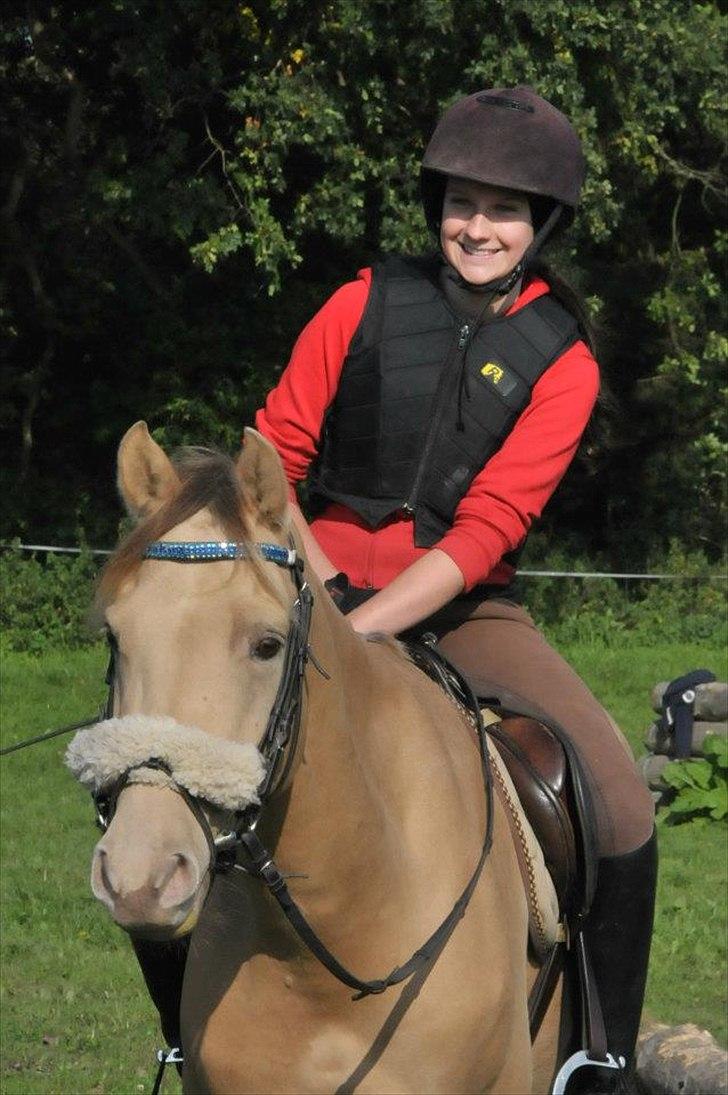 Anden særlig race Sioux - Fra tærren kursus på Søgborggård. billede 11