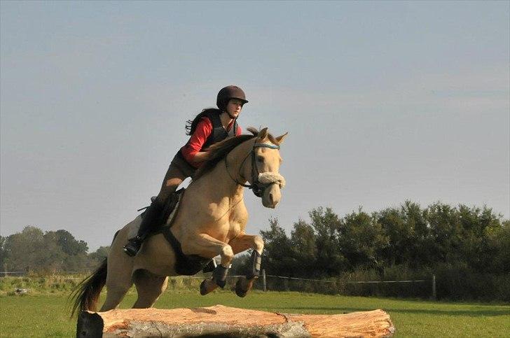 Anden særlig race Sioux - Fra Eric Smiley Military kursus! billede 6