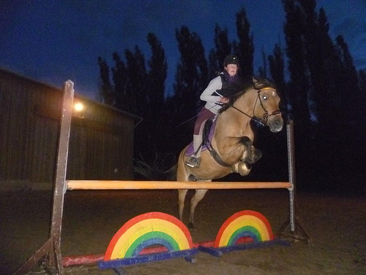 Anden særlig race Klakkebjergs la chevalle - Springer 90 cm. Efter vi ikke havde sprunget i laaannng tid!. ( Og endda i dressur sadel) billede 8