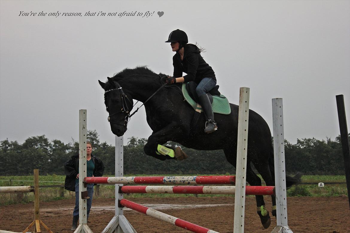 Anden særlig race Prinse'hesten Chopin - Mit eventyr! :* - En ven spurgte mig en dag "hvad er ægte venskab for dig?" , jeg kiggede ham i øjnene og smilede, mit svar var simpelt, "Chopin .." :´) .. Foto: Tenna Andersen! 
 billede 11