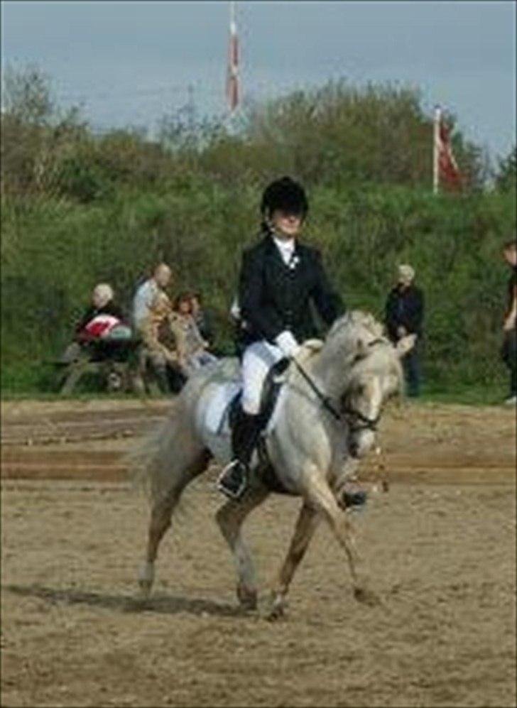 Anden særlig race Silver<3. - Lækker pony i La1<3 billede 4