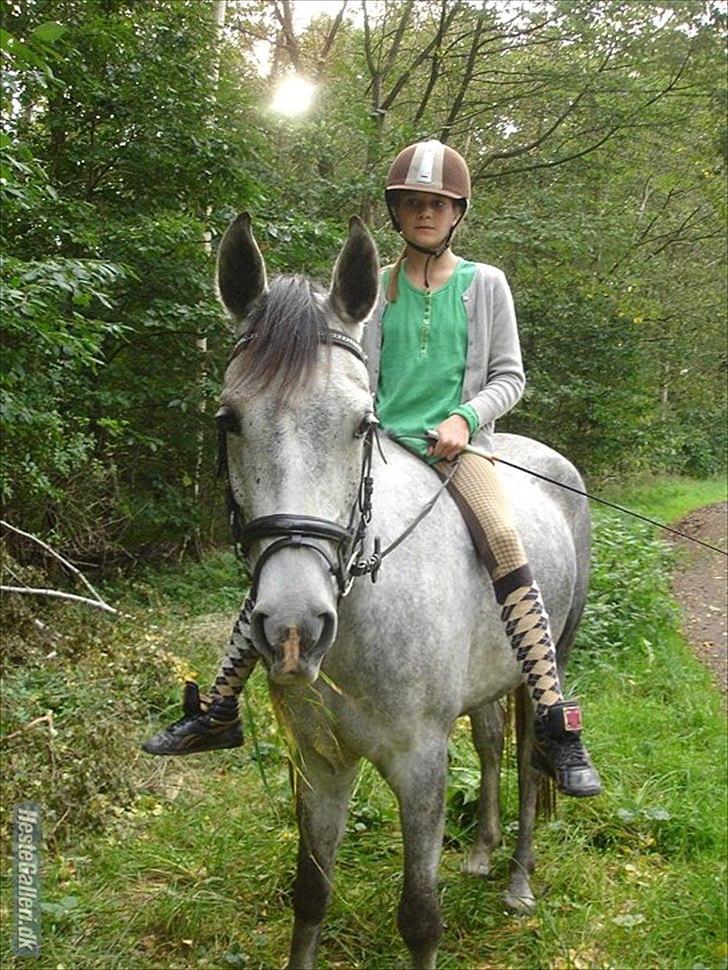 Anden særlig race Aziz sabah, mistet, savnet, elsket!  - os i den grønne natur! :D foto: Kristine billede 7