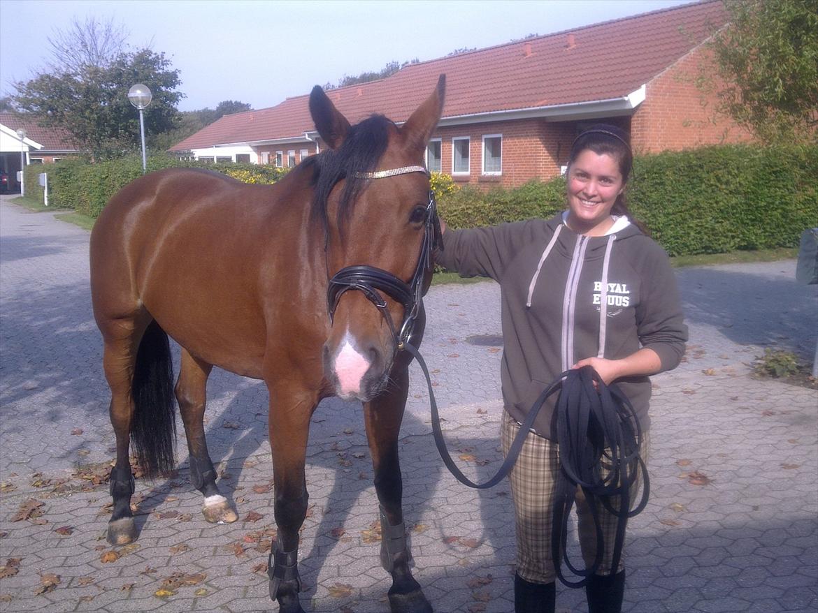 Dansk Varmblod Bakkegaardens Anemone - På hjemme besøg billede 9
