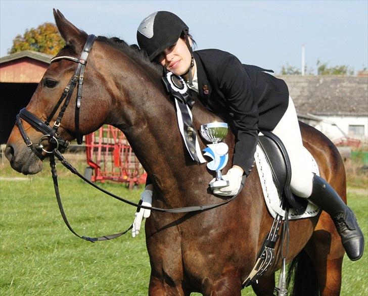 Anden særlig race May Piccolo *Klubmester 2011* - klubmester SRK dressur 2011 billede 4