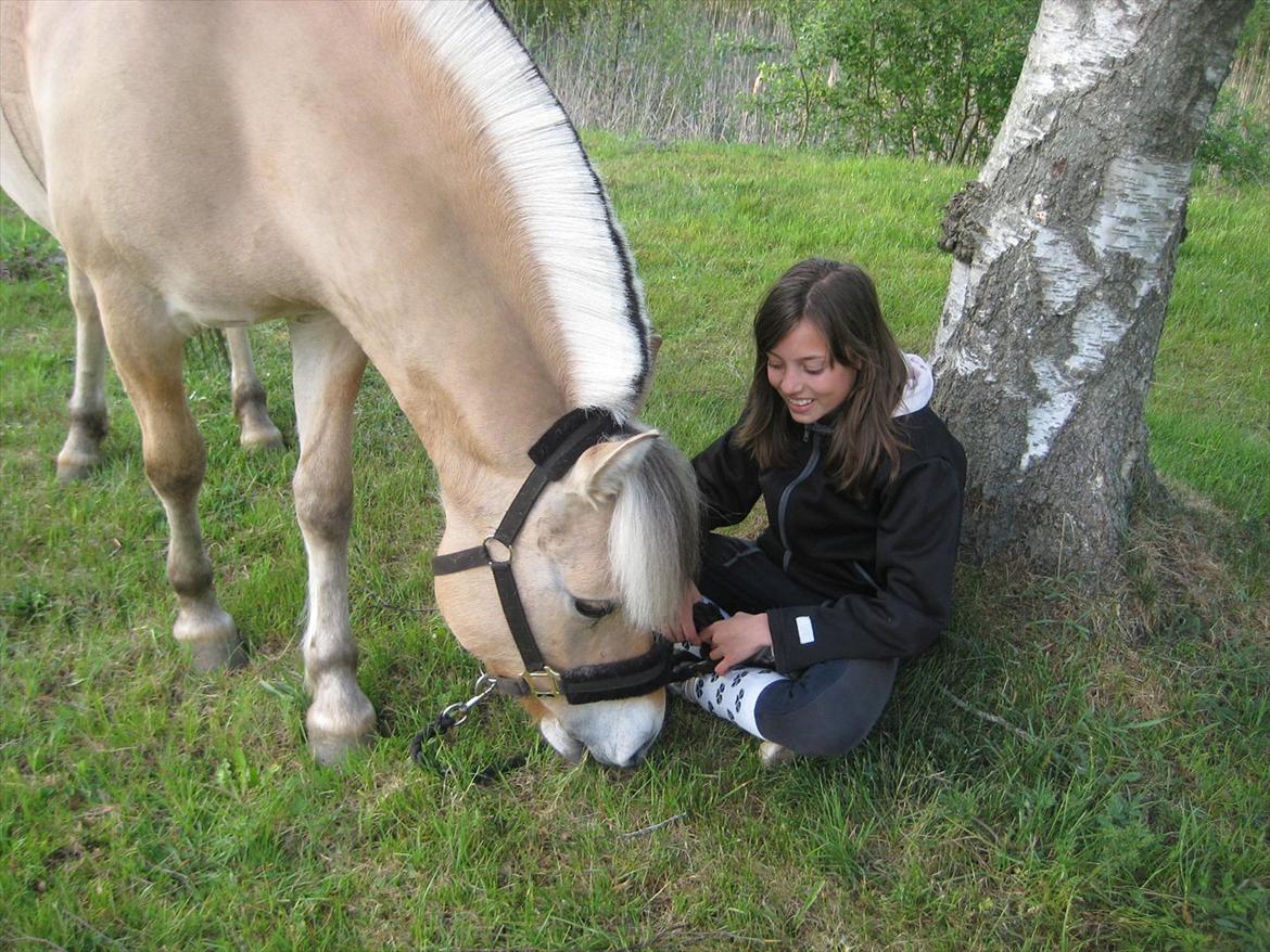 Fjordhest Musse <3  - mig og musse ude at græsse;D <3  billede 7