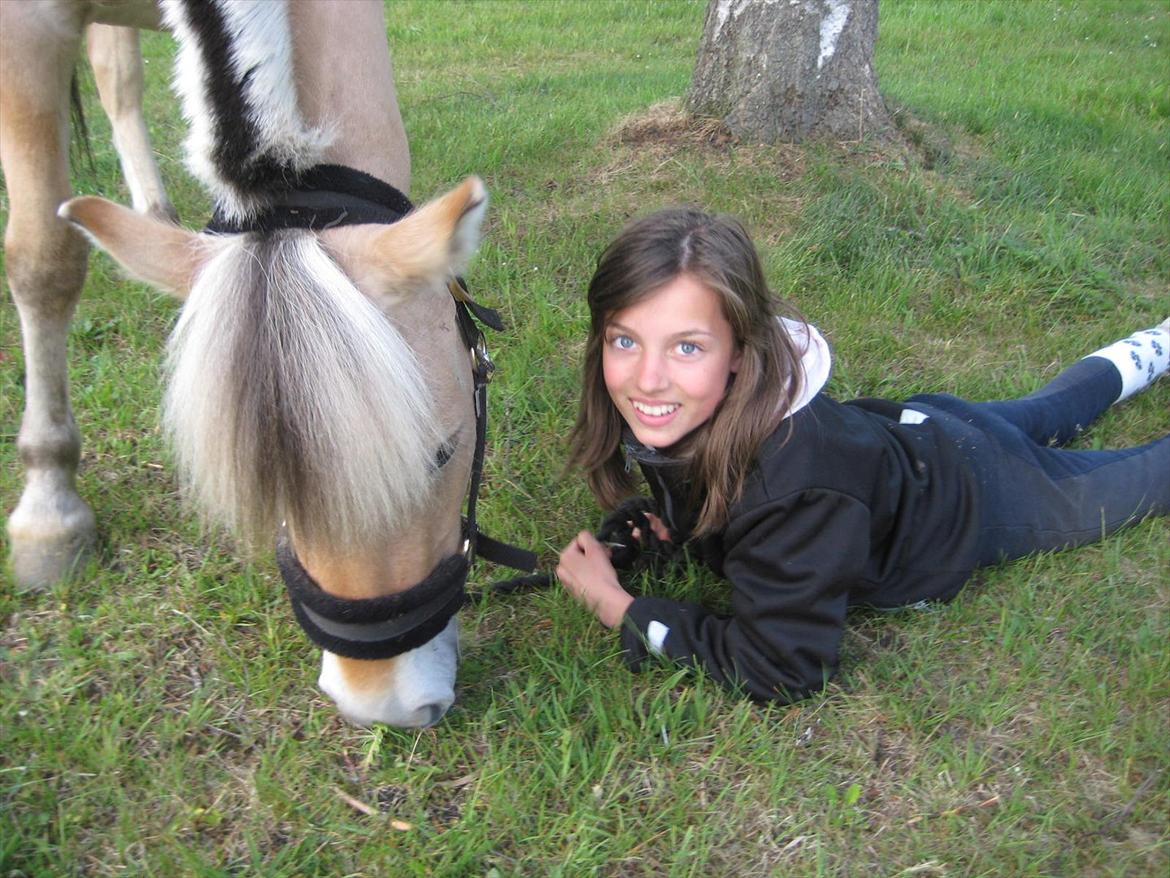 Fjordhest Musse <3  billede 8