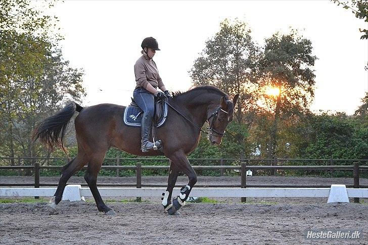 Anden særlig race Merlot R.I.P <3 - Merlot og mig på ridebanen <3 Af Celina ;) billedet 2 billede 2