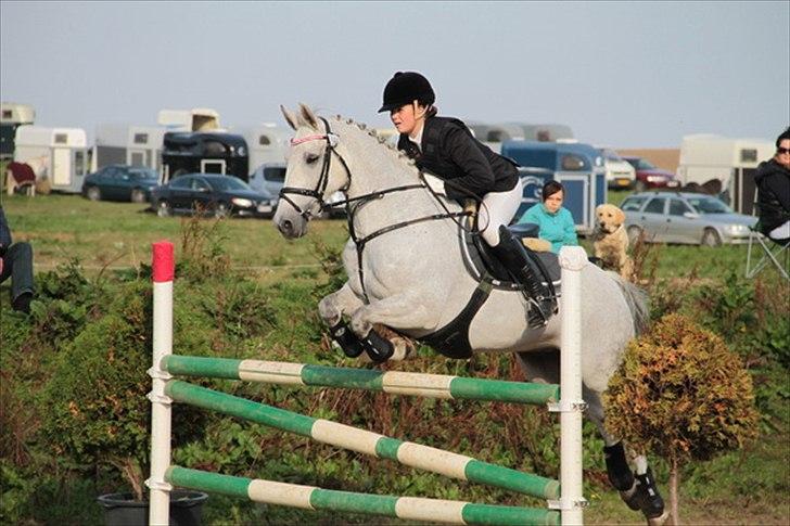 Anden særlig race Skipper Mønstergård. *A-Pony* - DM bronze i military 2011. 
CNCP2** - her i springningen, som vi gennemførte med 0 fejl, som den eneste i klassen!  billede 19