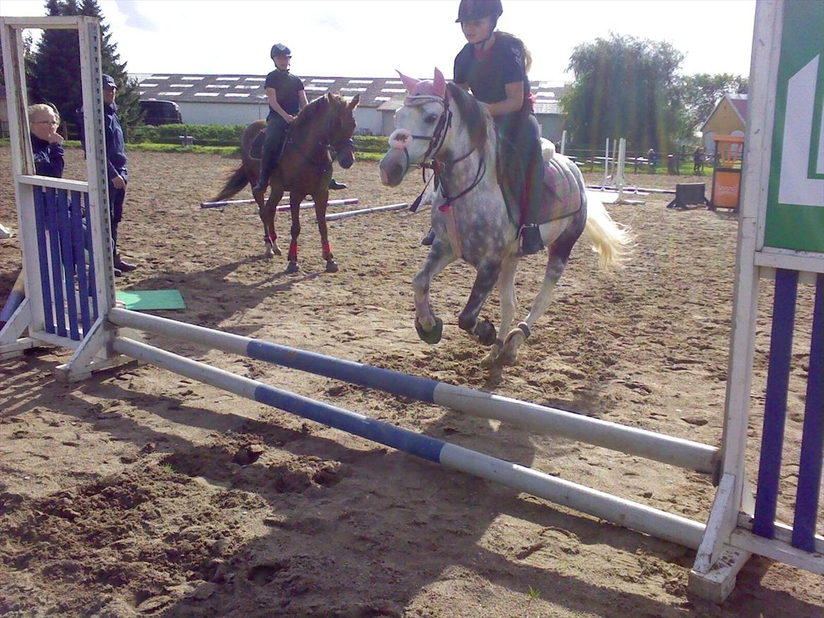 Anden særlig race Pink Lady <3 savnet   billede 19