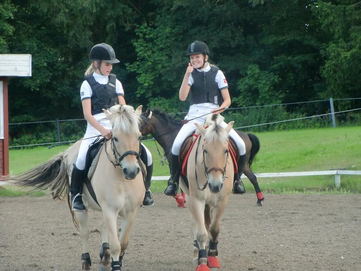 Fjordhest Emir Stanstorp (SOLGT) - Pernilla&Sofie, Tjalfe&Emir<33
Elsker jer...... 
©Louise Greve!! :D billede 17
