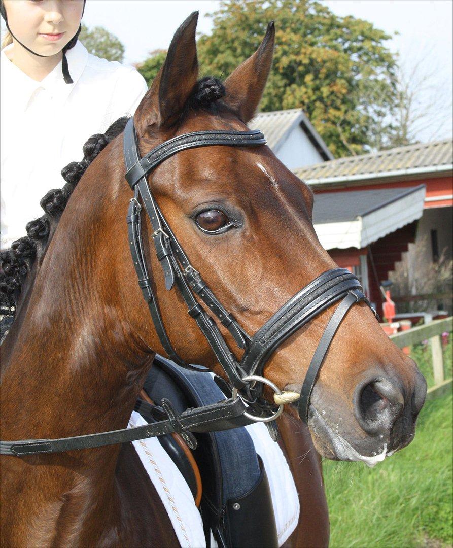 DSP <3 Aslie B-Pony <3 billede 12