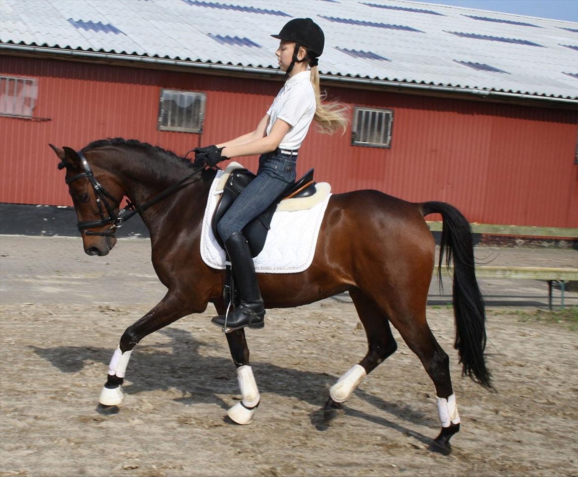 DSP <3 Aslie B-Pony <3 billede 14