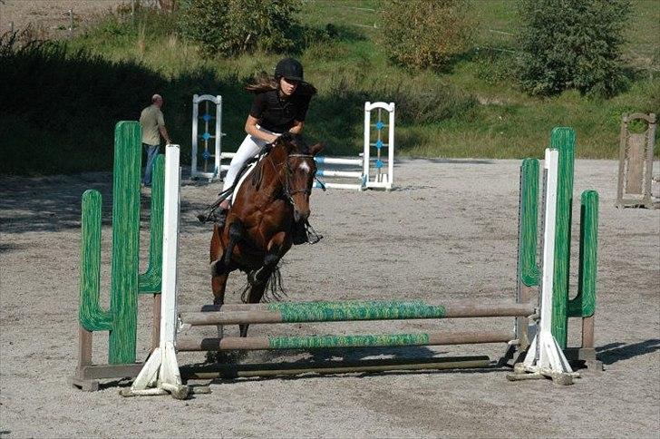 New Forest Moonlight    (rider) - Stævne på EGE<3 billede 3