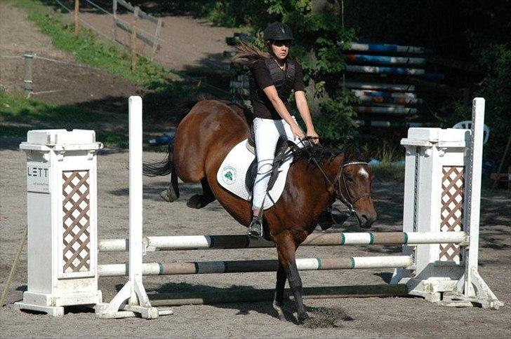 New Forest Moonlight    (rider) - Stævne på EGE<3 billede 4