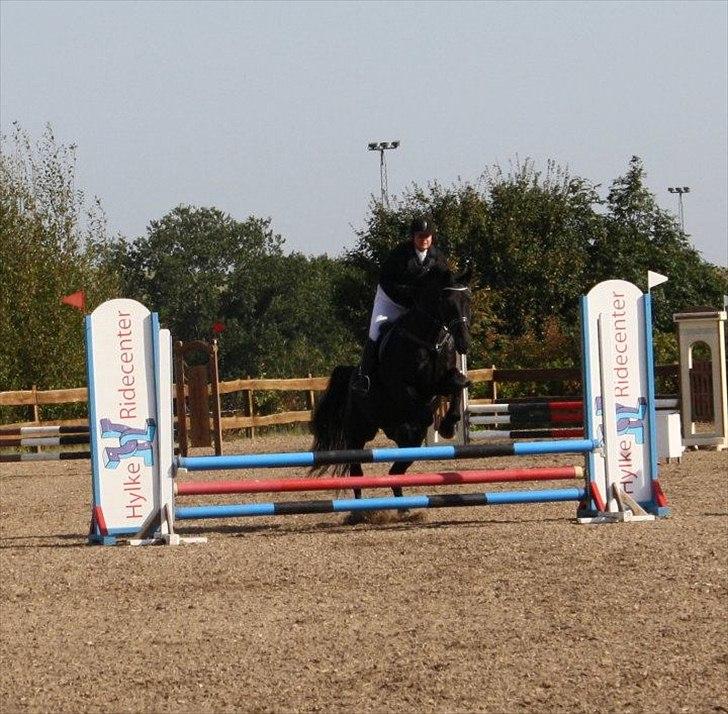 Anden særlig race Charmeur - Vores første stævne billede 9