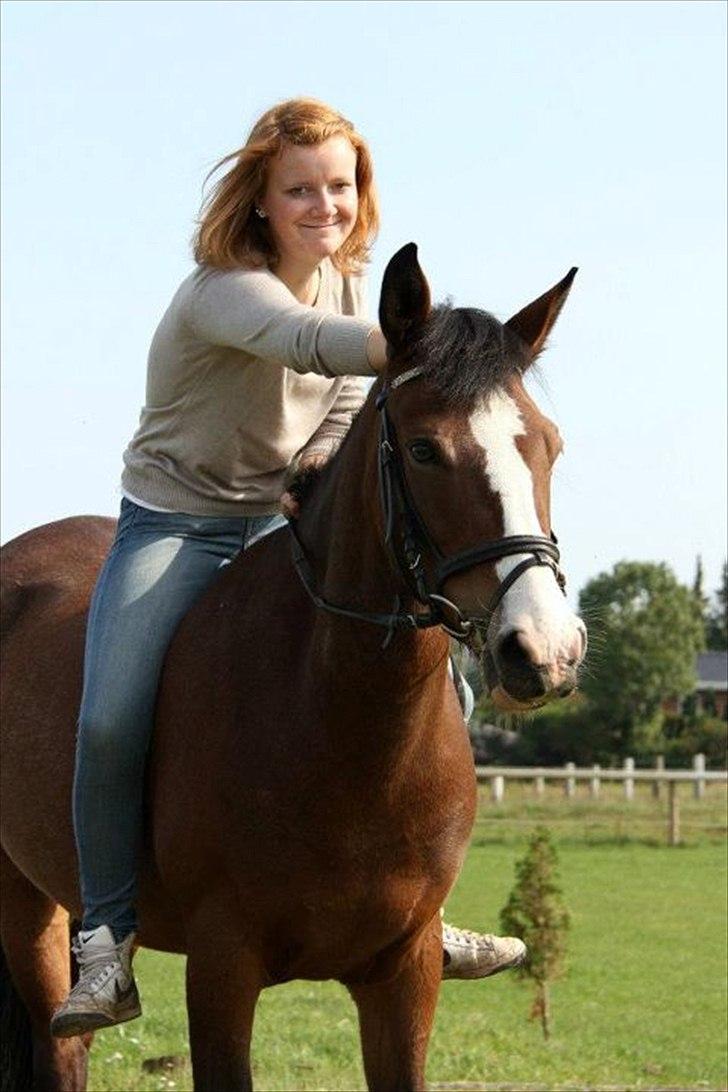New Forest Primakov <3 R.I.P. 27/10 2011 - Kan ikke andet end smile, når jeg er sammen med dig!  Photoshoot 25/9-11. Taget af Sabrina Lønfeldt. billede 4