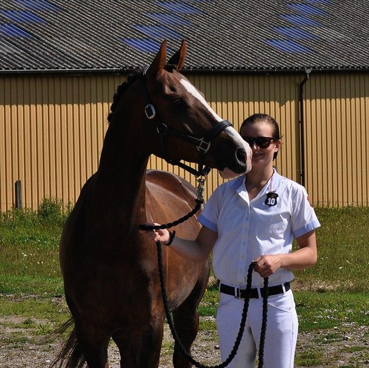 DSP Brage Stengaard - Hyggestund på stævne på MBRK :-) billede 6