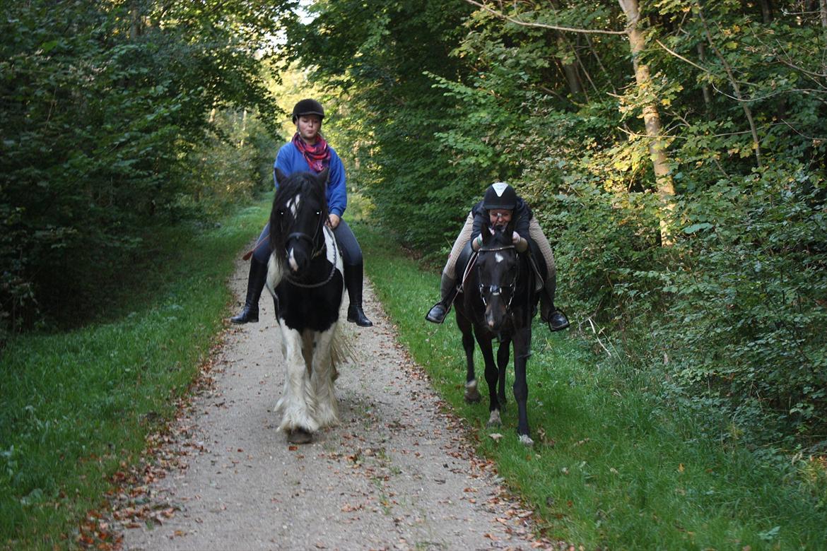 Anden særlig race Taco <3 *soulmate* - Hygger i skoven med Sofie&Mickey :D
Tirsdag d.27.09.11 foto : Lauge billede 8