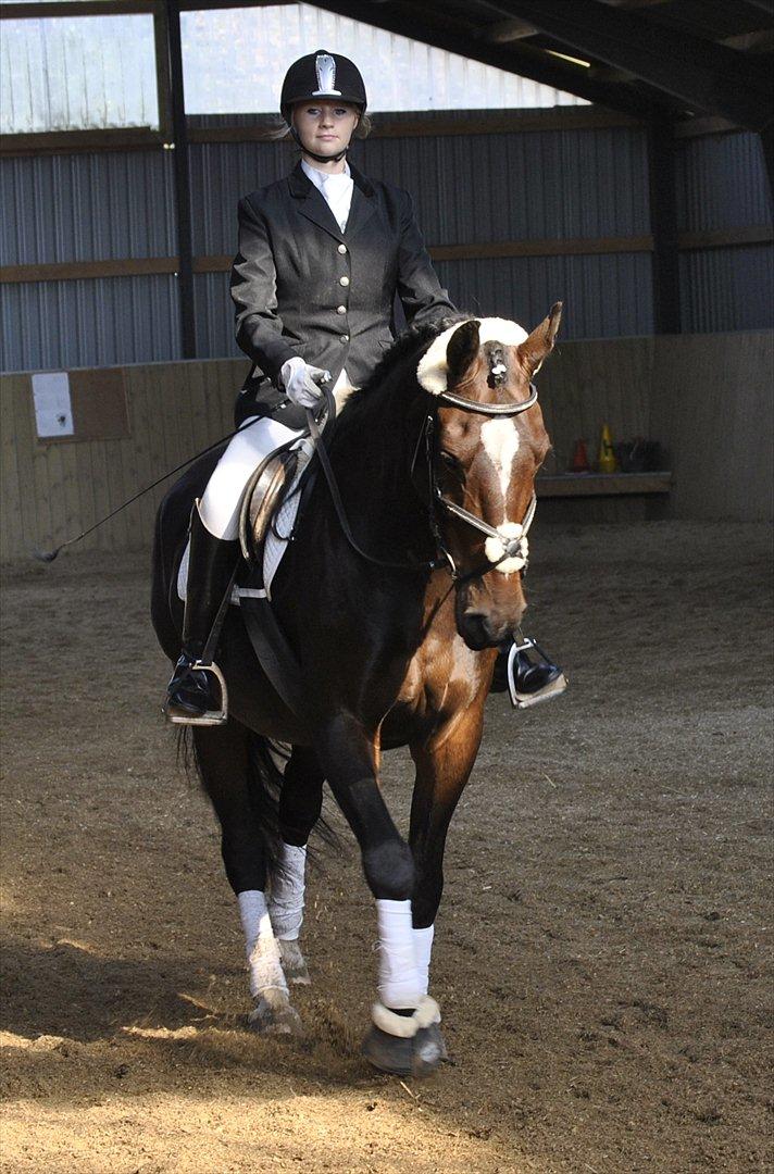 Oldenborg Rosenhavens Sindi - stævne <3 billede 9