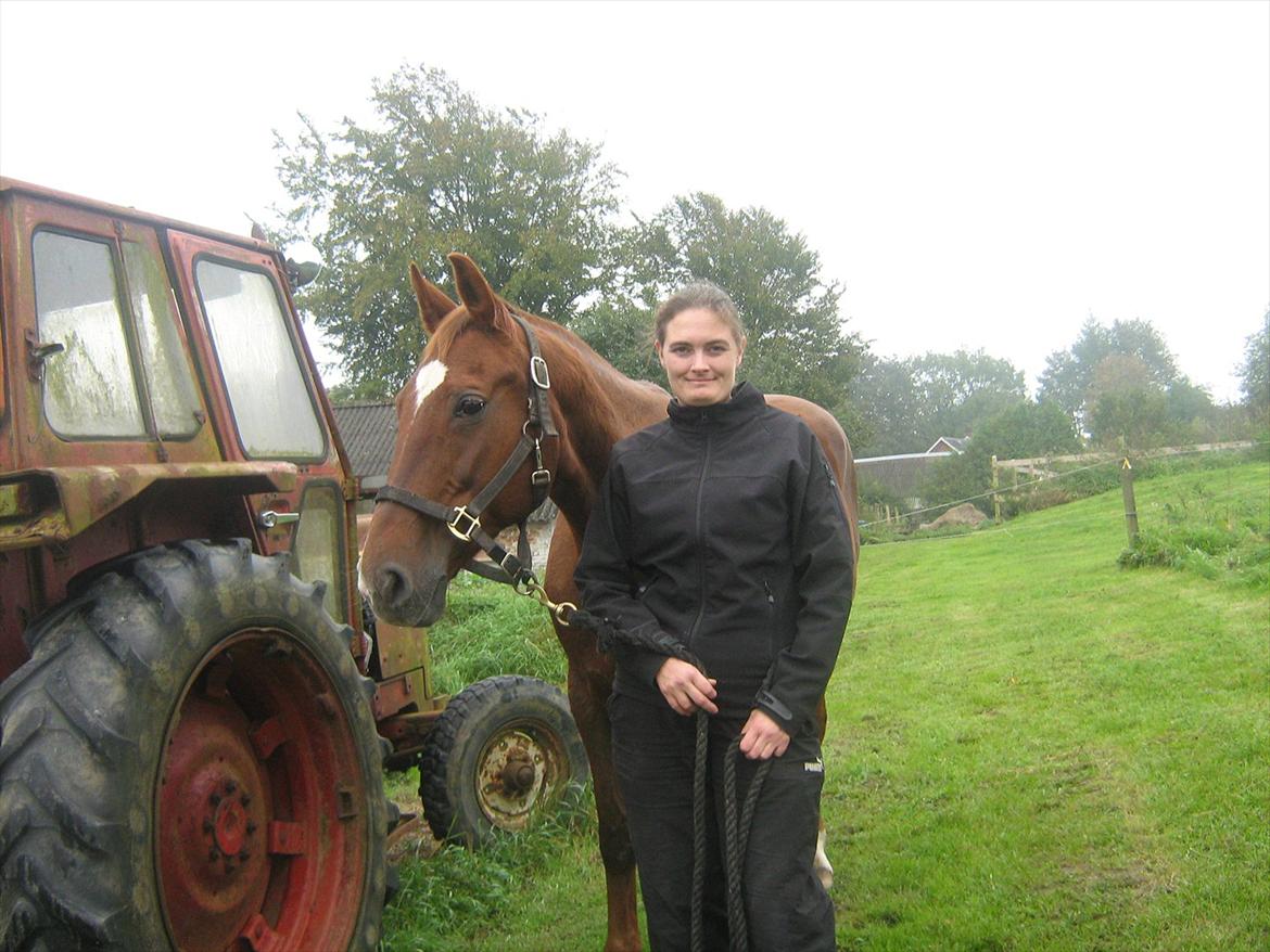 Dansk Varmblod Chita(hvil i fred dejlige) - Den 24/9-2011, fotograf Thor. billede 14