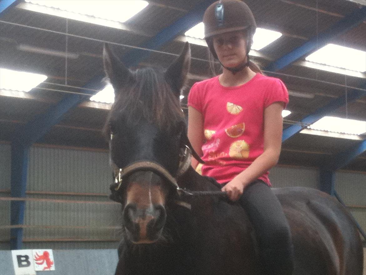 Anden særlig race Markant - Markant og jeg


billede taget i hodsager billede 6