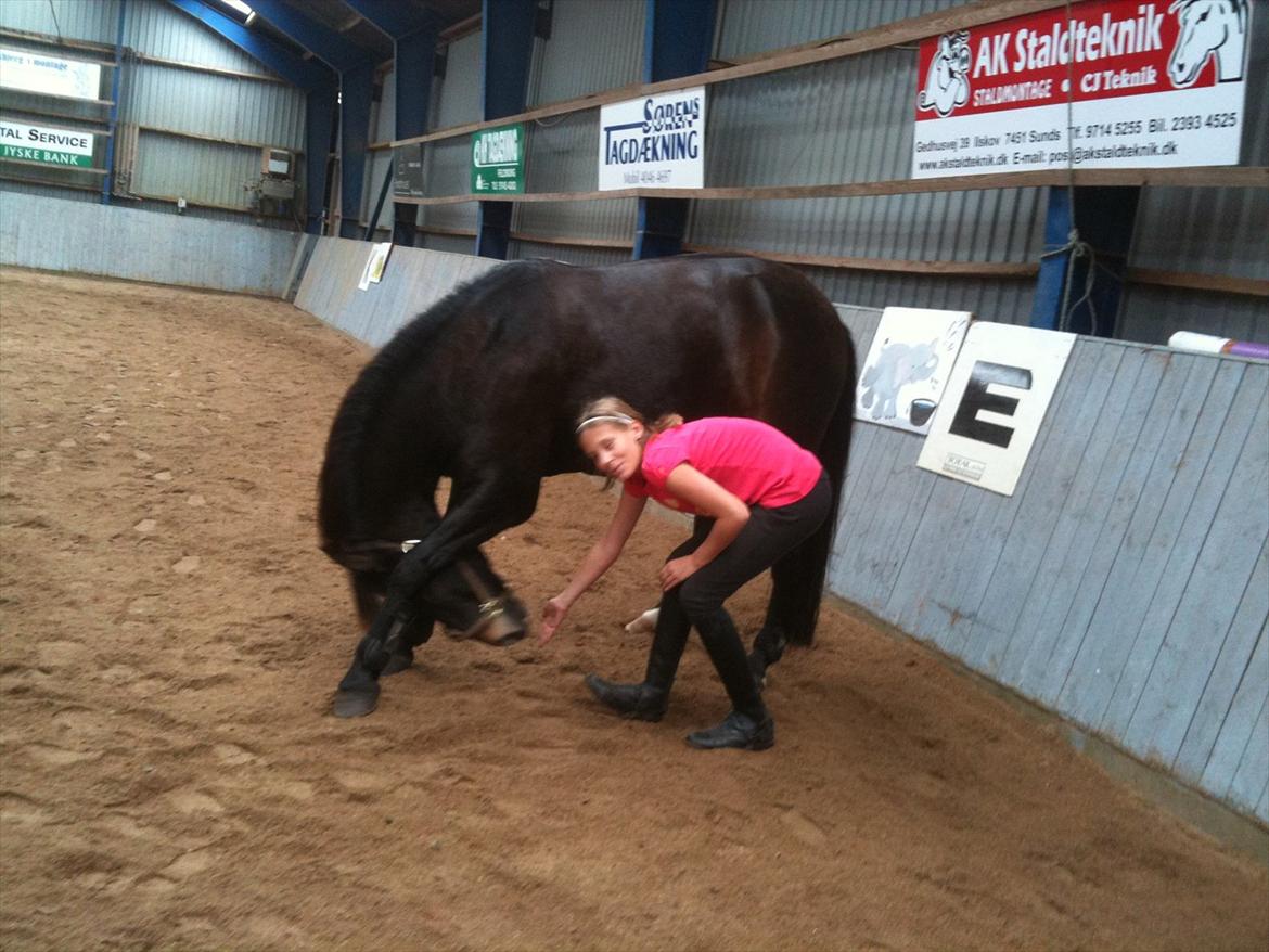 Anden særlig race Markant - "vi laver trix : l
men vi får god bider for det :D,,


billede taget i hodsager billede 7