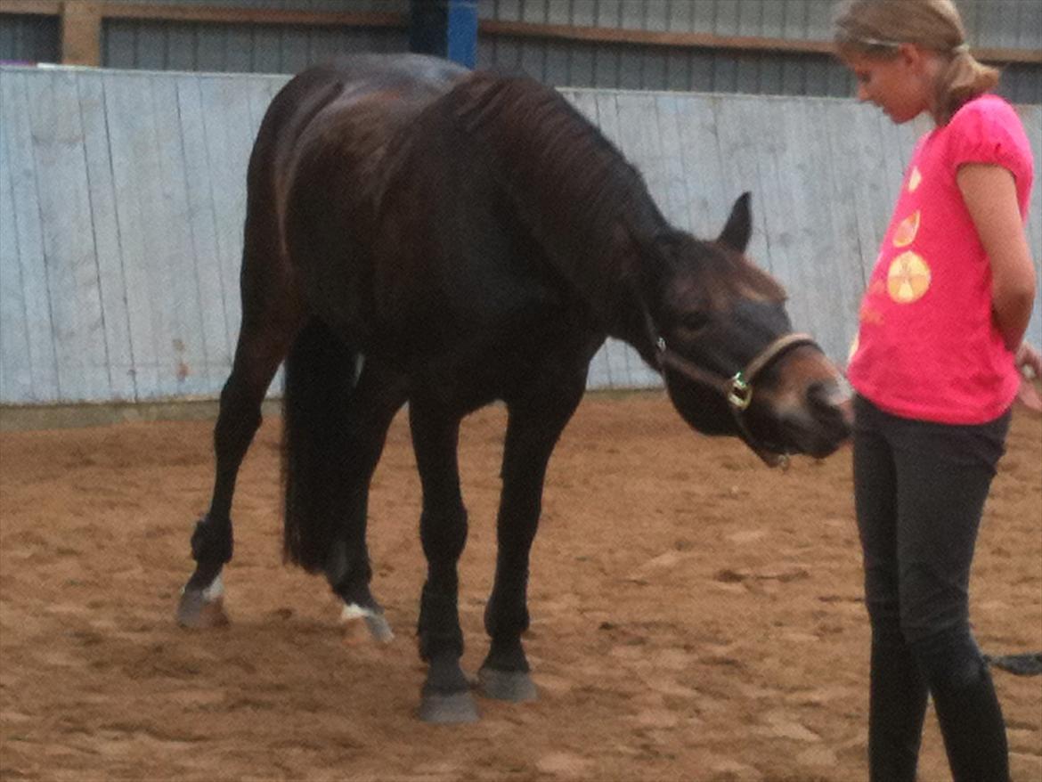 Anden særlig race Markant - er der lidt guf..... <3 :D (:


billede taget i hodsager billede 8