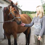 Anden særlig race Dancer