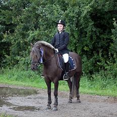 Anden særlig race Laban 