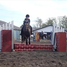 Anden særlig race Laban 