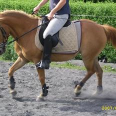 Anden særlig race † Flindtegårdens Ramira †